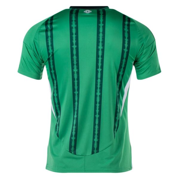 Northern Ireland Home Jersey 2024 - Image 2