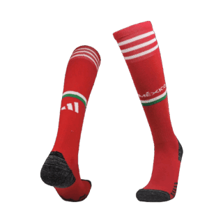 Mexico Soccer Socks Home 2022