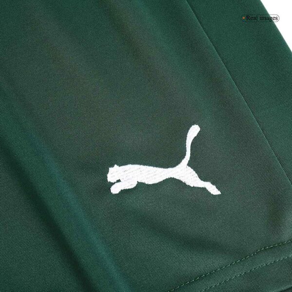 SE Palmeiras Away Shorts Replica 2023/24 - Image 6